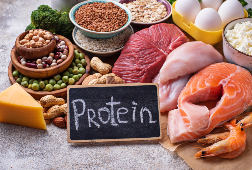 The Ultimate Guide to Proteins in Sport Nutrition