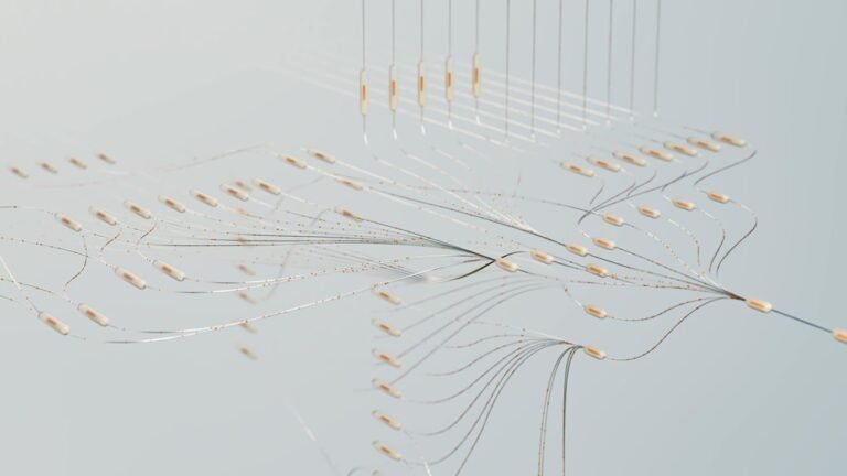 neural vector apex edge