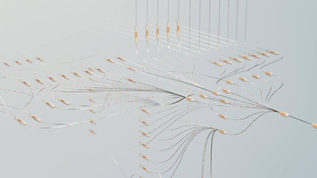 neural vector apex edge