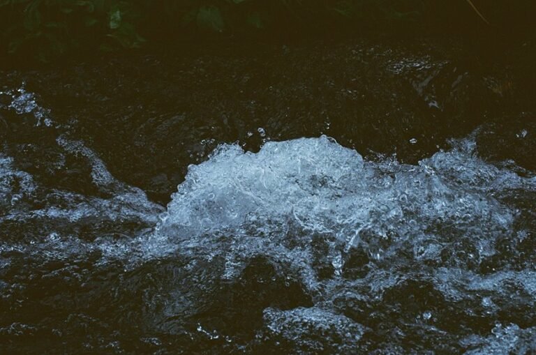 omega stream momentum analysis