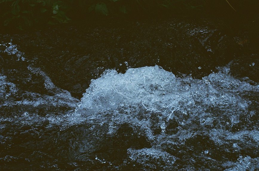 omega stream momentum analysis