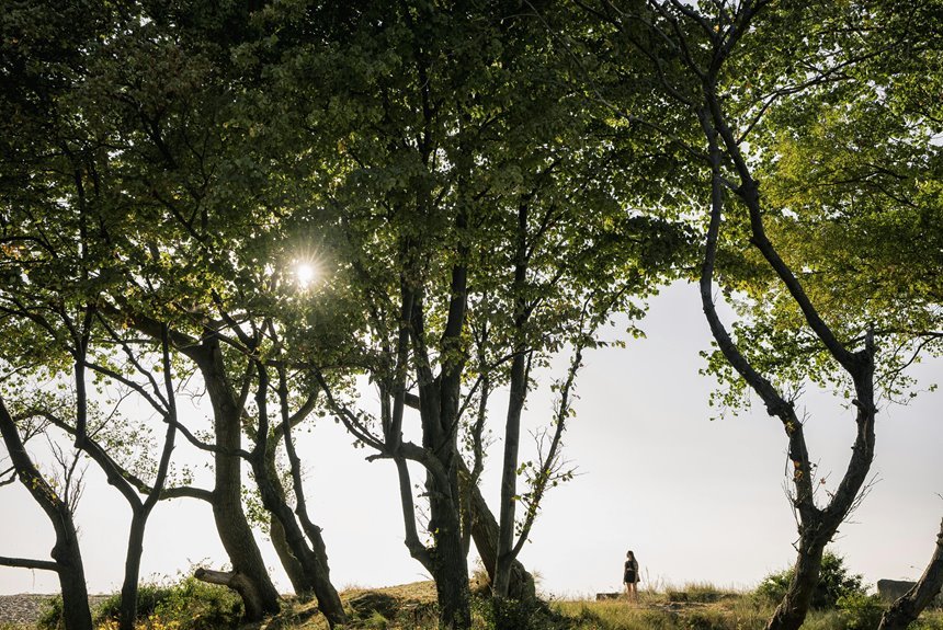 verified safety lookup results