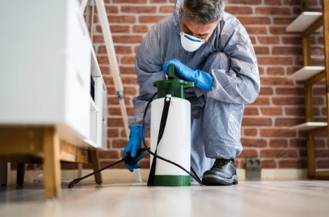 What 24-Hour Pest Control Means for Sorrento Homes
